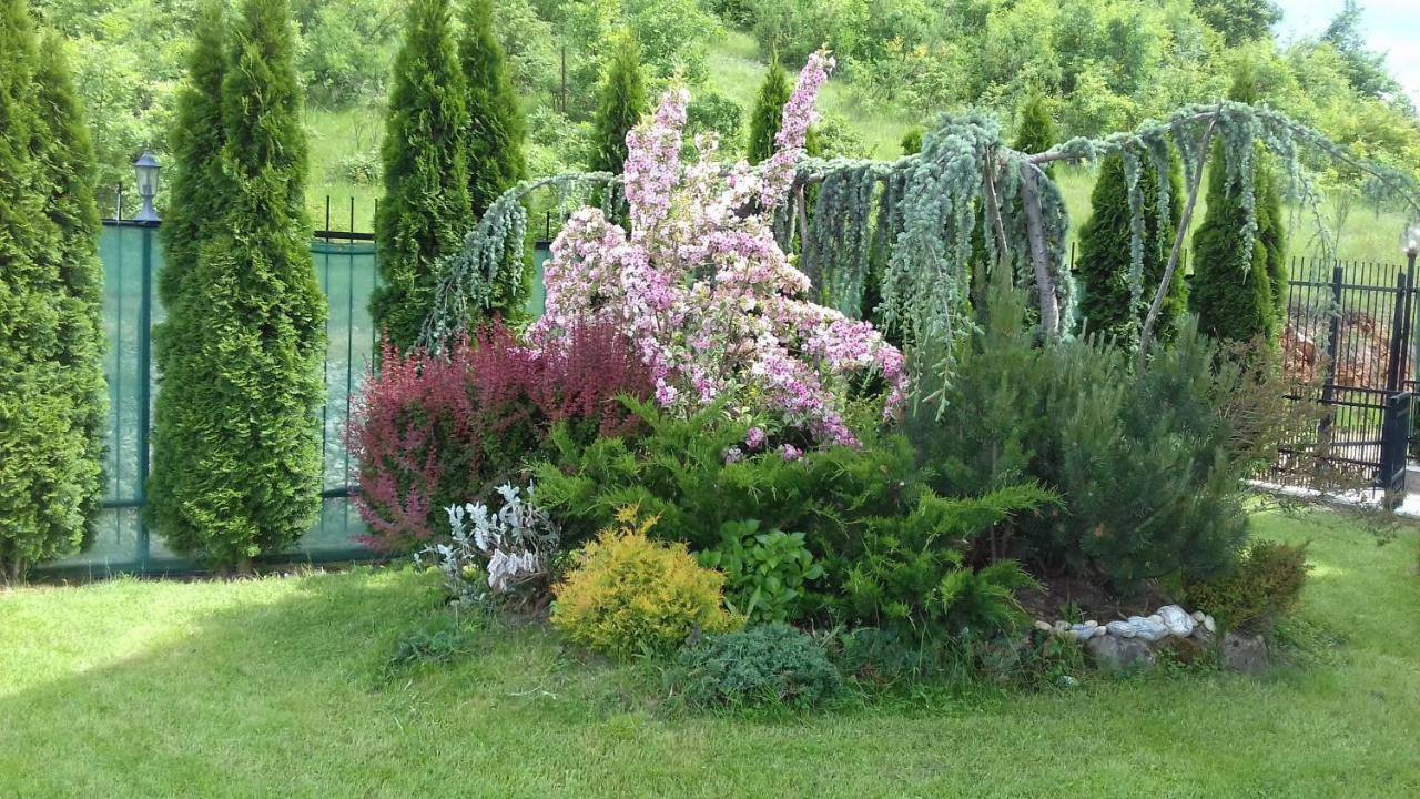 Villa Marta Ohrid Luaran gambar